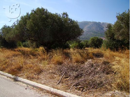 PoulaTo: Οικόπεδο σε όμορφη περιοχή κοντά στην Αθήνα
